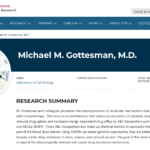 Postdoctoral Fellow