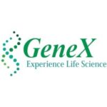 Assistant Sales Manager