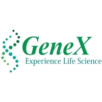 Assistant Sales Manager