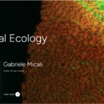 Microbial ecology