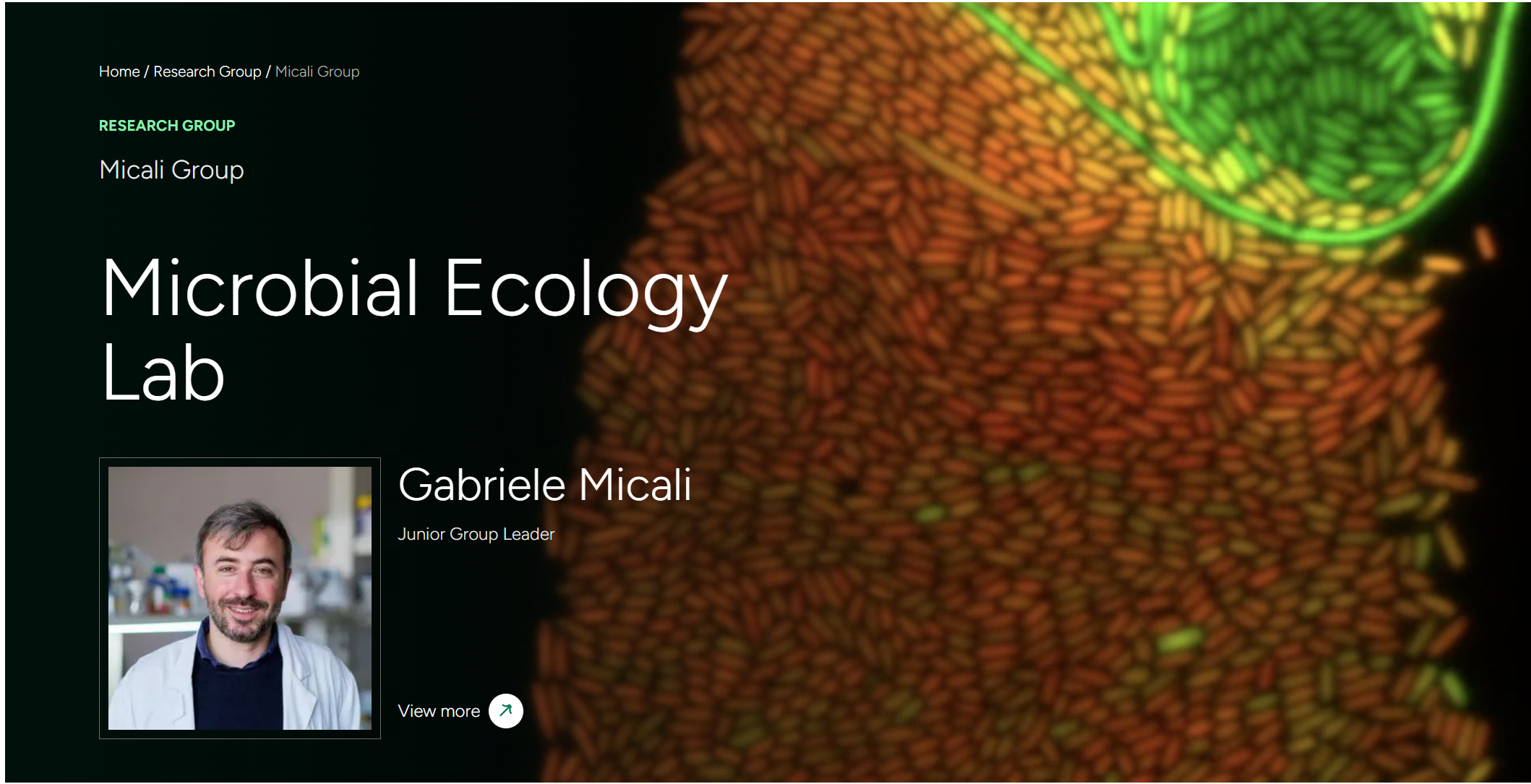 Microbial ecology